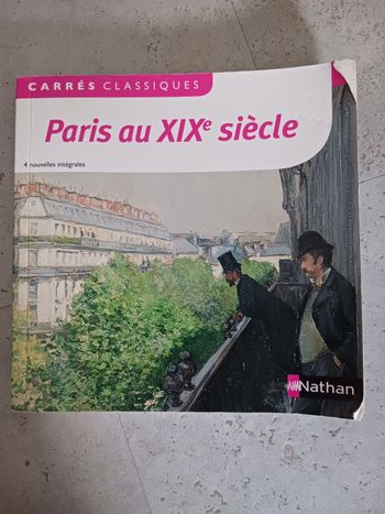 livre Paris au XIX siècle