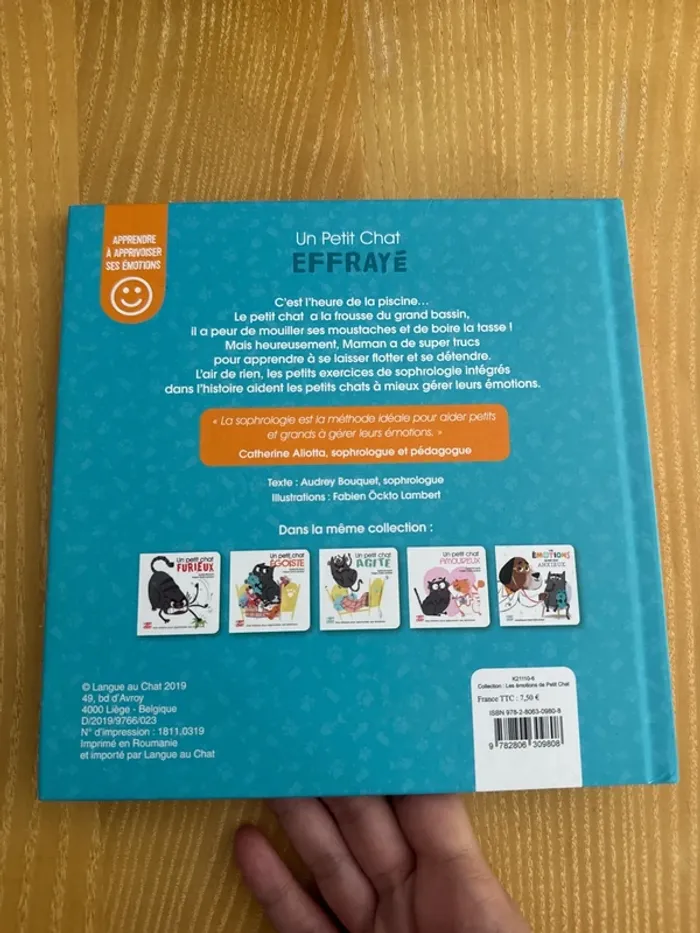 Les émotions de petit chat effrayé - photo numéro 2