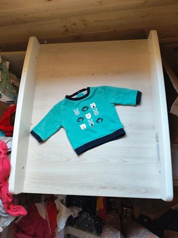 Pull vert d'eau
