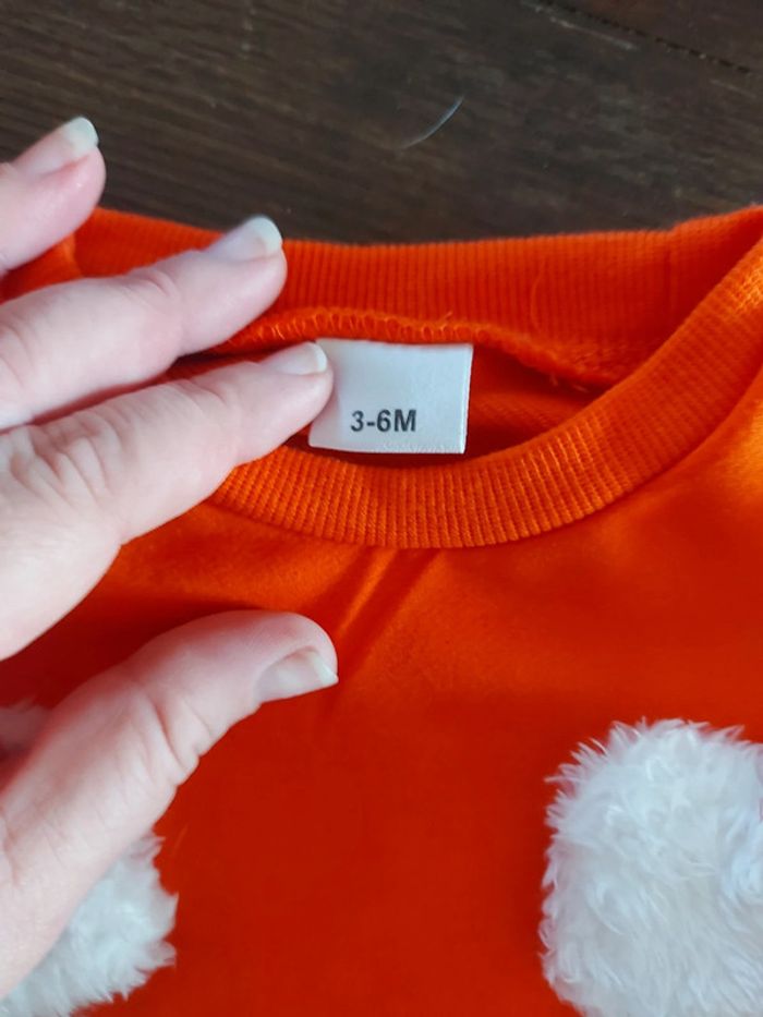 Lot 2 sweat 3/6 mois - photo numéro 4