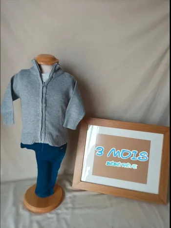 Gilet zippé gris col montant Bébé Rêve garçon 3 mois