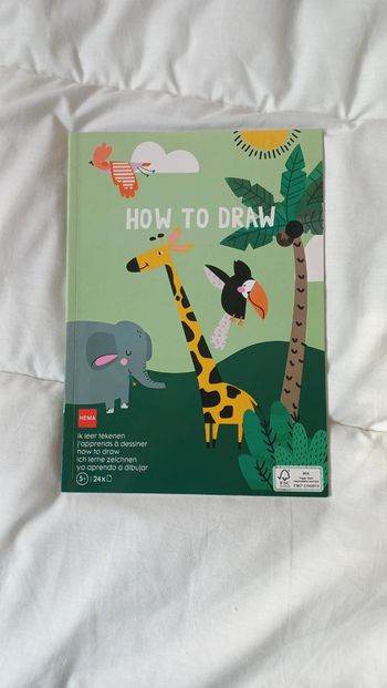 Album apprendre à dessiner hema