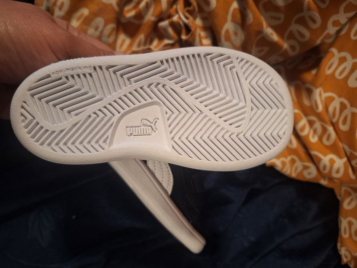 Puma - photo numéro 5