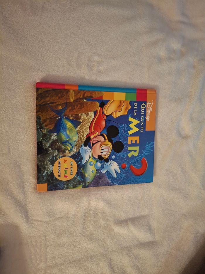 Livre Que sais tu de la mer?