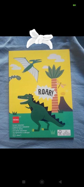 Livre coloriage dinosaures Hema neuf