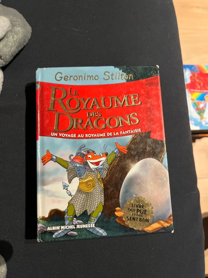 Livre pour enfants Geronimo stilton le royaume des dragons