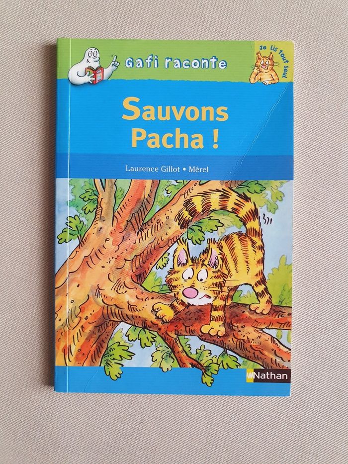 Livre enfant (Gafi raconte) - photo numéro 1