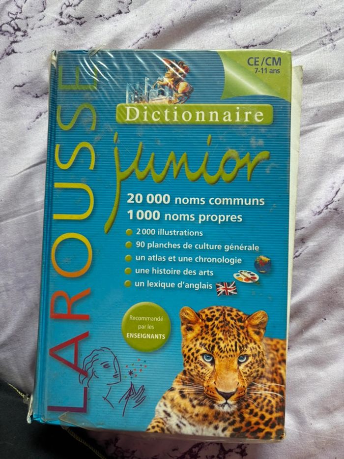 Dictionnaire CE/CM