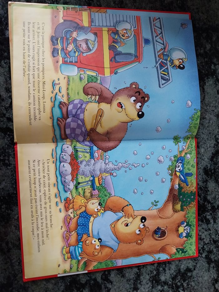 Livre - photo numéro 3