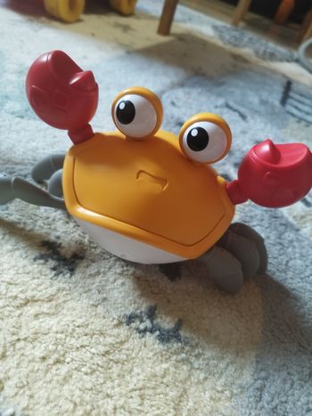 Willy le Crabe qui Marche jeux d'éveil