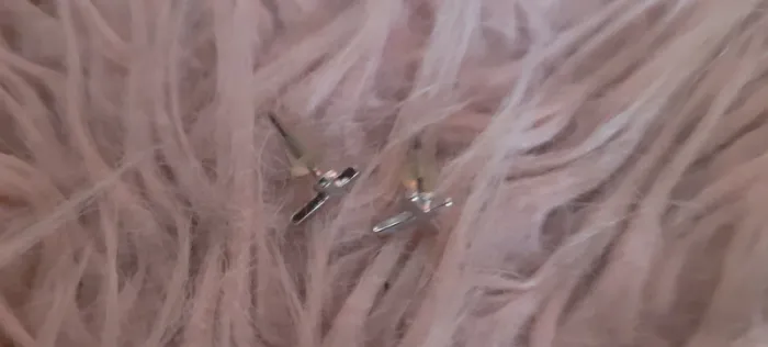 Boucles d'oreilles - photo numéro 2