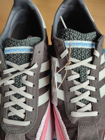 Adidas adizero SL 72 Bad Bunny marron rose 45 1/3