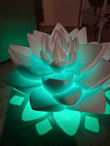 Magnifique lampe lotus 