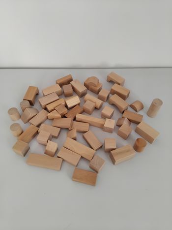 Blocs de Construction en Bois Lot 50 Pièces