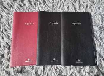 Lot 3 protèges agenda