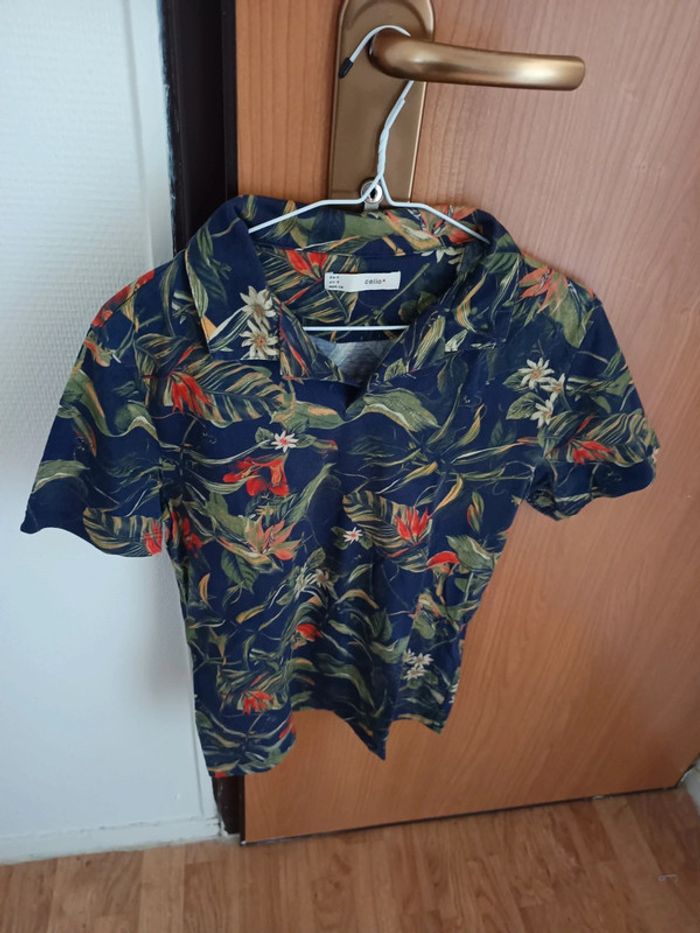 Polo celio