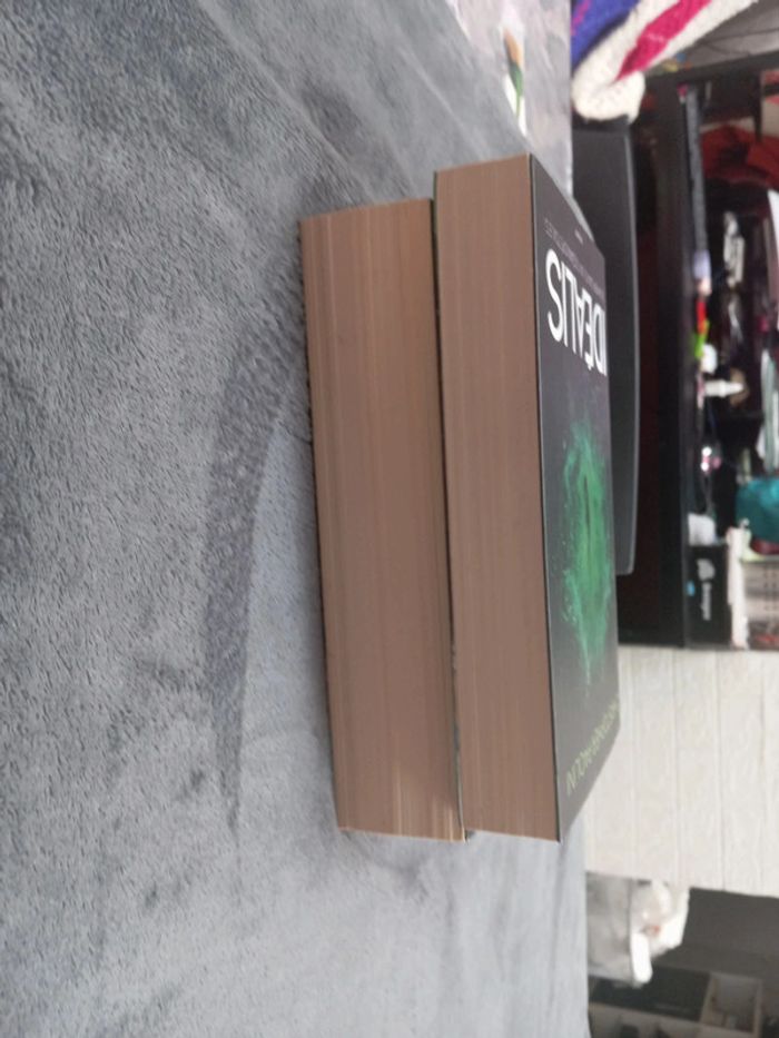 Idealis - photo numéro 4