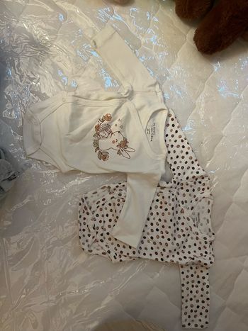 Bodies