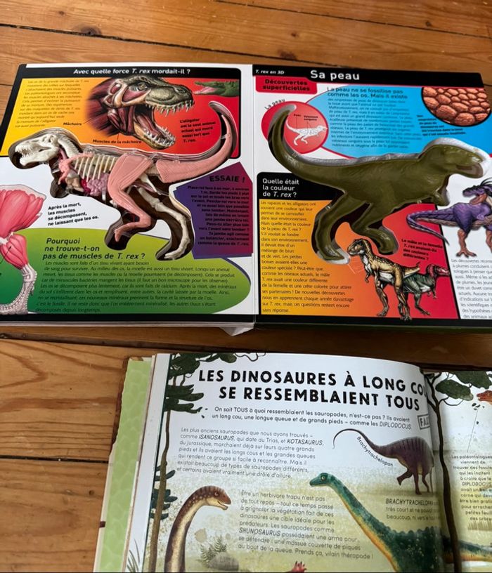 Lot livres sur les dinosaures 🦖 - photo numéro 4