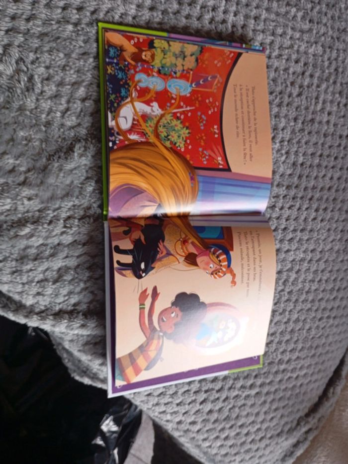 Livre la dame a la licorne - photo numéro 3