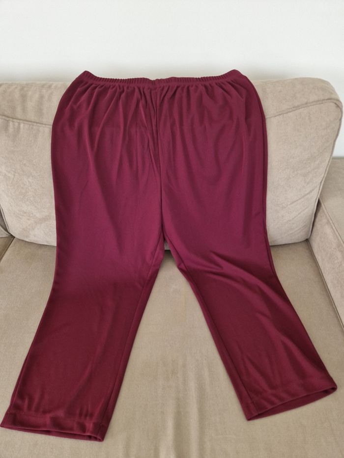 Pantalon couleur lie de vin Daxon - photo numéro 2