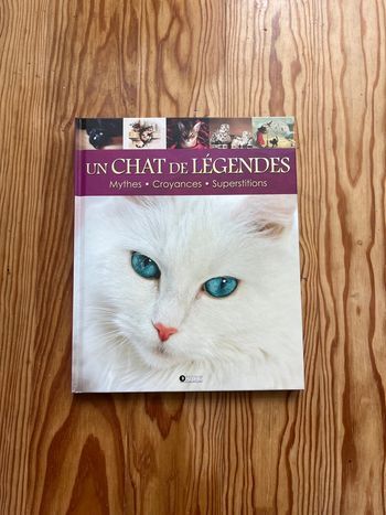 Un chat de légende