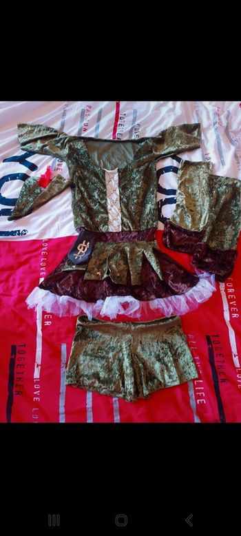 Costume Robin des bois