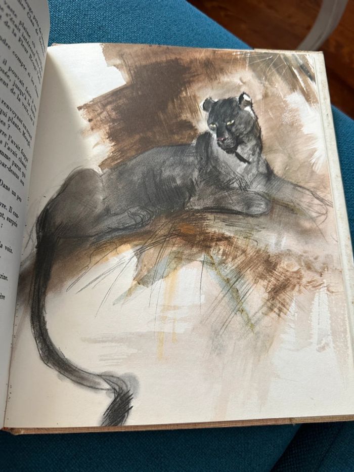 1968 - Livre ancien Le second livre de la Jungle Rudyard Kipling Paul Durand Librairie Delagrave - photo numéro 11