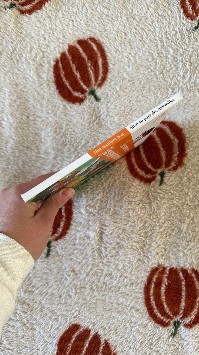 💜 Livre Alice au pays des merveilles hachette jeunesse 💜 - photo numéro 3