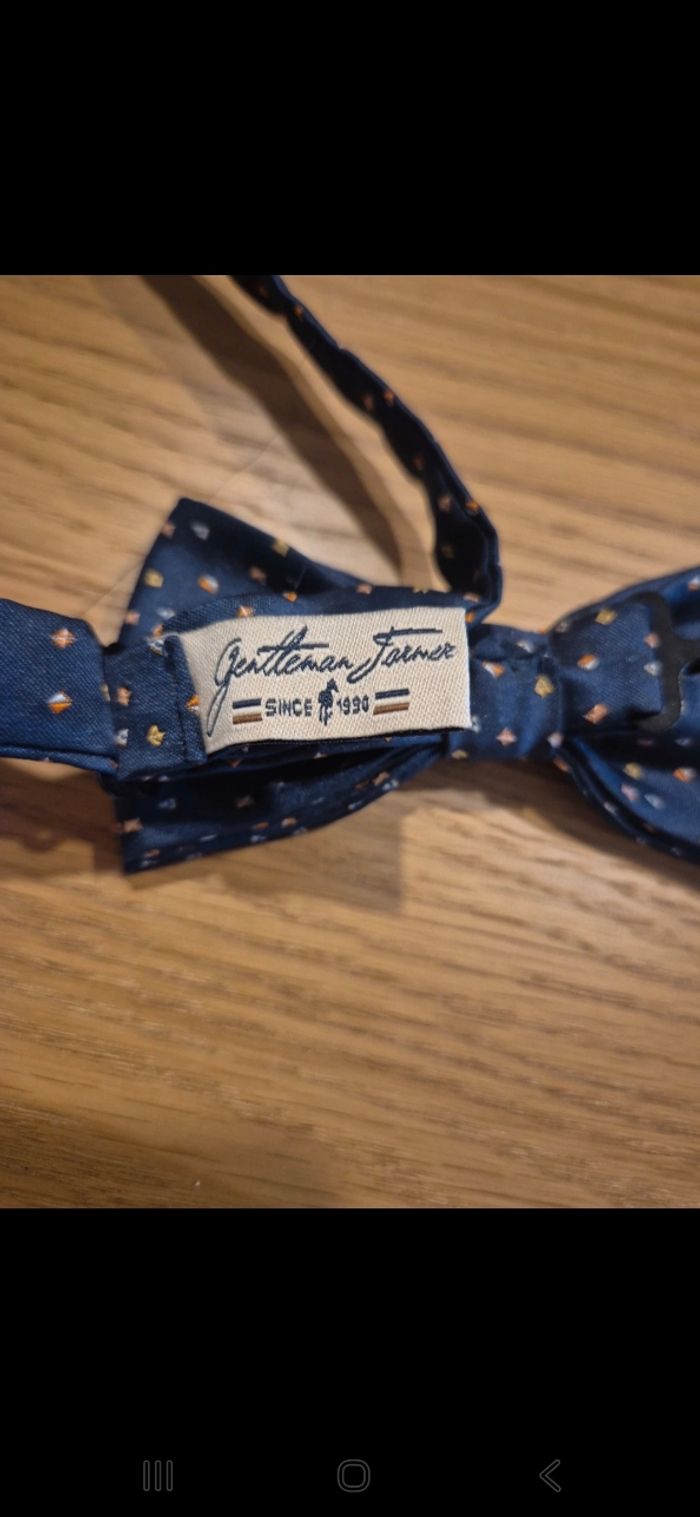 Nœud papillon - photo numéro 5