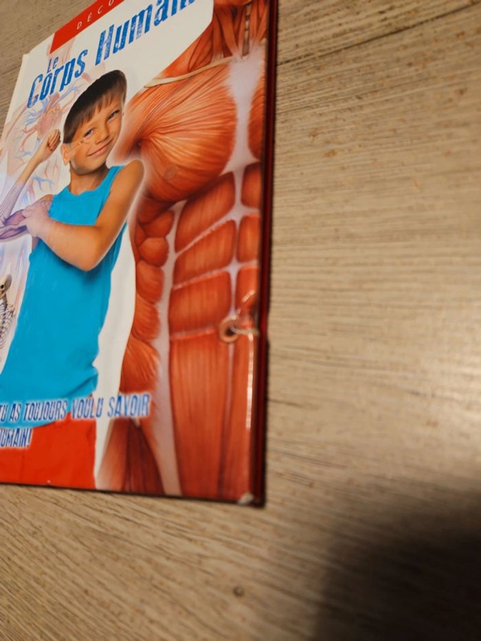 Livre enfant Découvre le Corps humain, edition Cuberdon Books - photo numéro 8