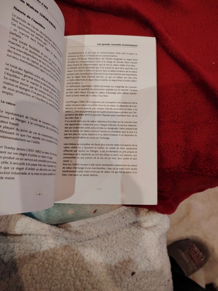 Livre réussir sa licence d'AES tbe - photo numéro 4