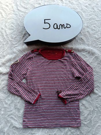 Tee shirt chemise manches longues Fille 5 ans Pomme Framboise Orchestra