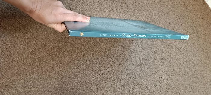 Livre bd le sang du dragon - photo numéro 4