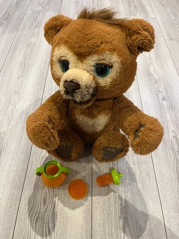 Cubby l’ours curieux