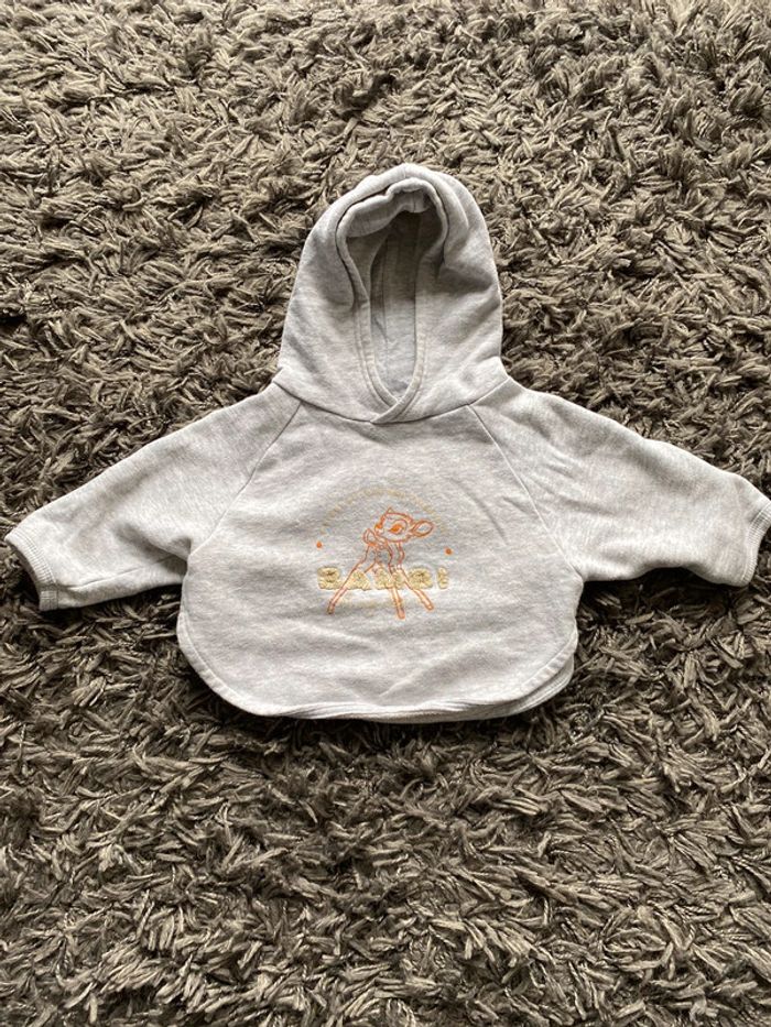 Sweat Disney 12 mois