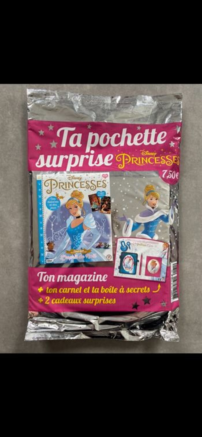 Carnet et boîte à secrets Cendrillon