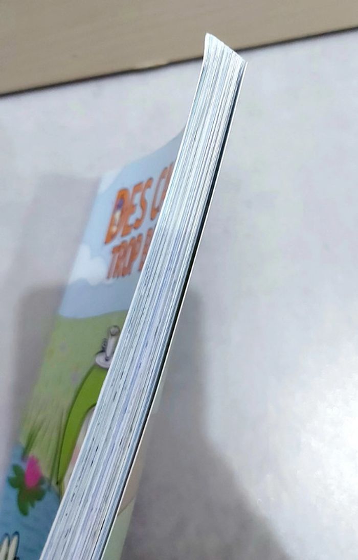 🌺 Livre (école des loisirs) : Des canards trop bizarres - photo numéro 2