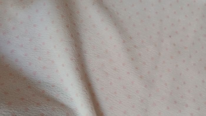 Couverture minnie - photo numéro 4