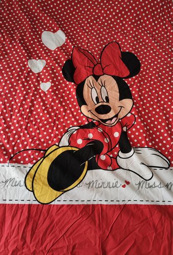 Housse de couette et taie d'oreiller