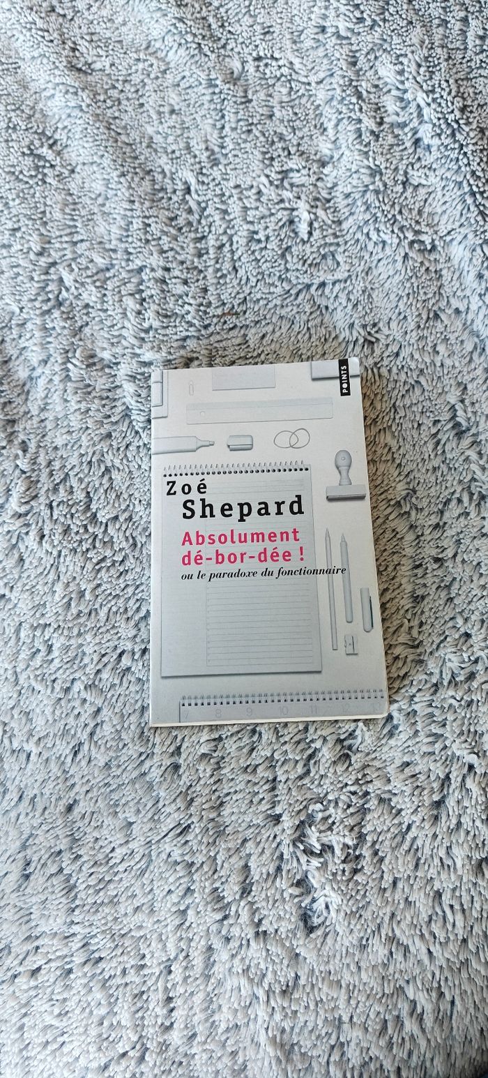 Livre Absolument débordée