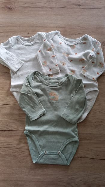 Lot de 3 bodies 6 mois TeX 