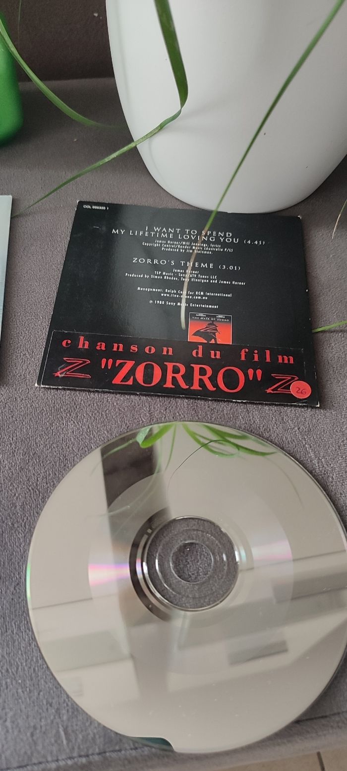 Lot de 2 CD BO Films Titanic et Zorro - photo numéro 5