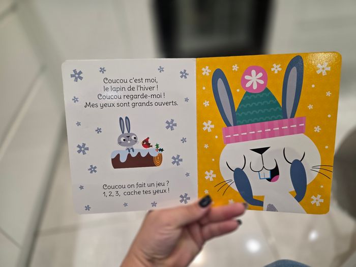 Joue avec des amis de l'hiver - photo numéro 3