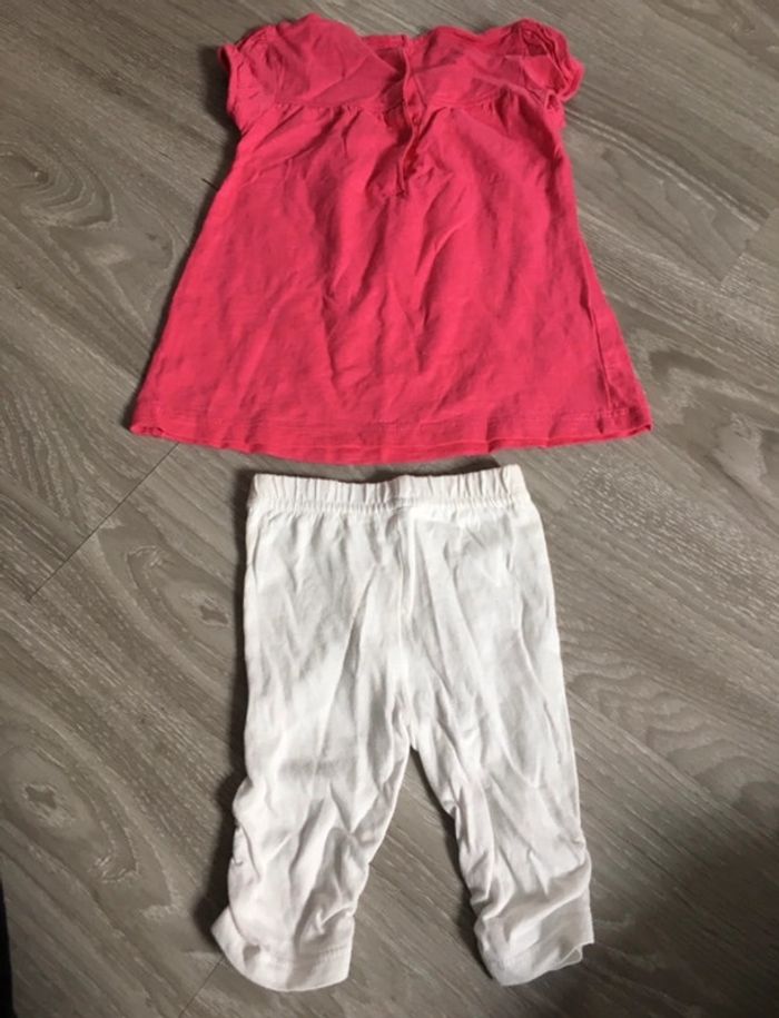 Ensemble coloré fruits - photo numéro 2