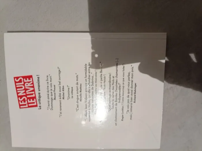 Les nuls le livre - photo numéro 2