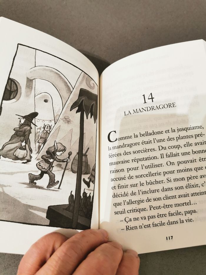 Livre Alchimia tome 1 L'inconnu des hautes terres - photo numéro 3