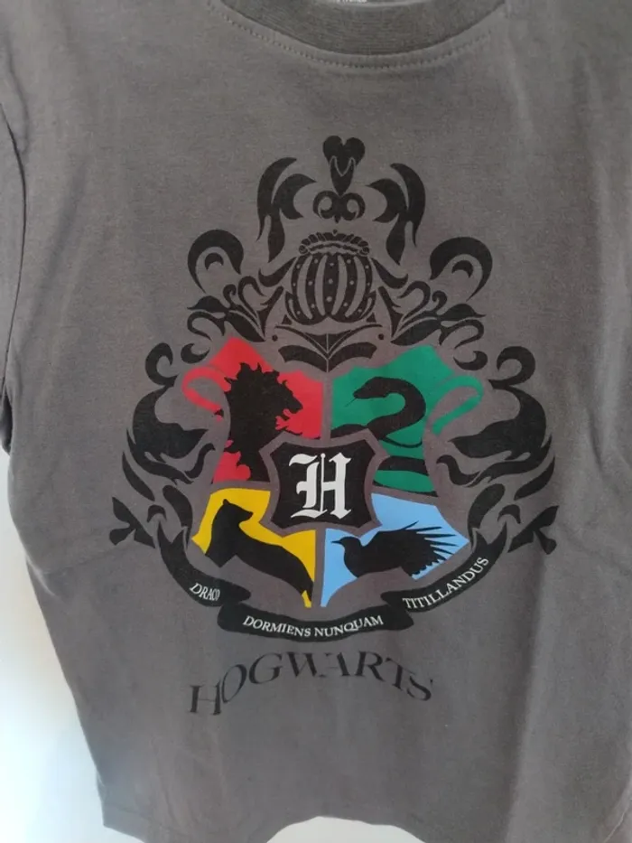 T-shirt garçon en 100% coton Harry Potter - photo numéro 3