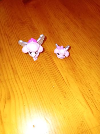 Lot de 2 caniches hatchimals