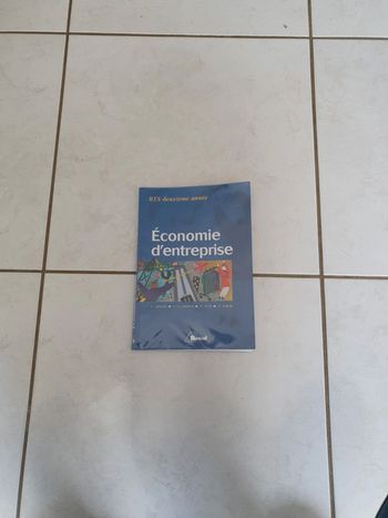 Économie d'entreprise